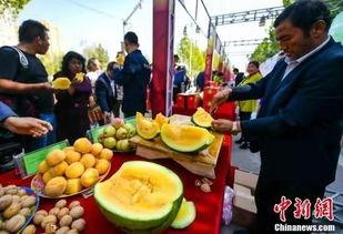 吃瓜最新事件爆料交城,揭秘吃瓜群众最新爆料背后的真相