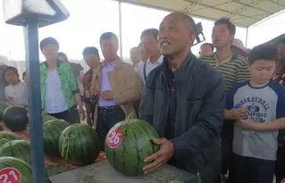 吃瓜最新事件爆料内黄,吃瓜群众揭秘最新事件幕后真相